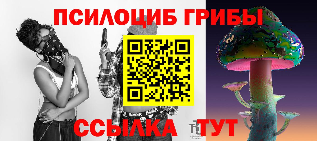 Соль-Илецк  Псилоцибиновые грибы прущие грибы  Псилоцибиновые грибы ЛСД  Вход с VPN 